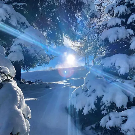 Alpines Nest By Managers Appartement