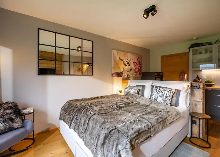 Alpines Nest By Managers Appartement Kirchberg en Tyrol