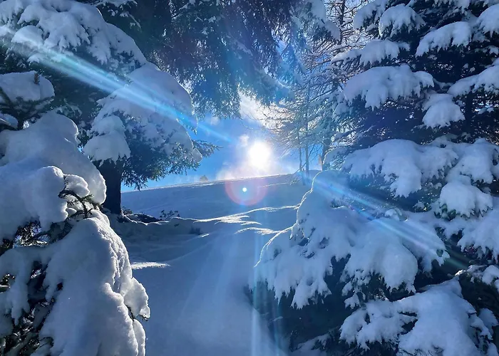 Alpines Nest By Managers Appartement