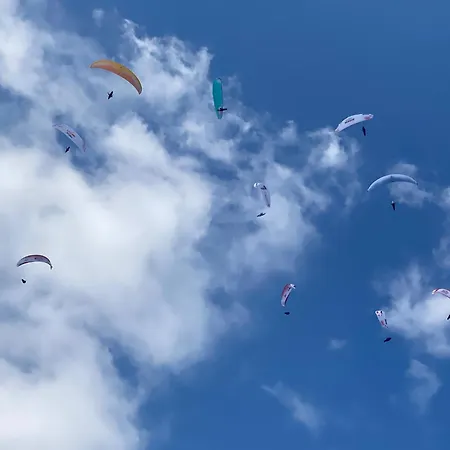 Alpines Nest By Managers * Кірхберг