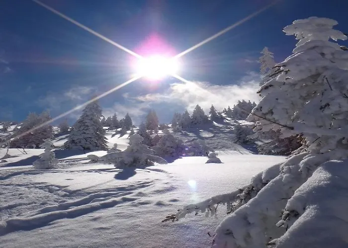 Апартаменти Alpines Nest By Managers *