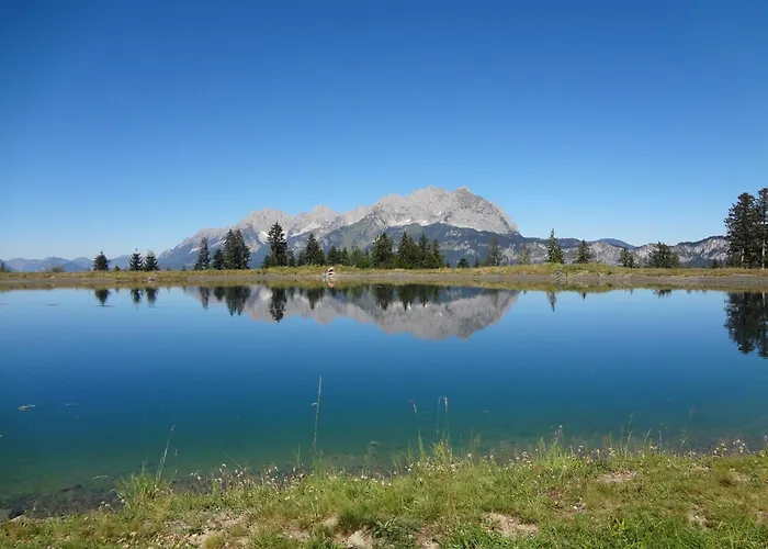 Alpines Nest By Managers
