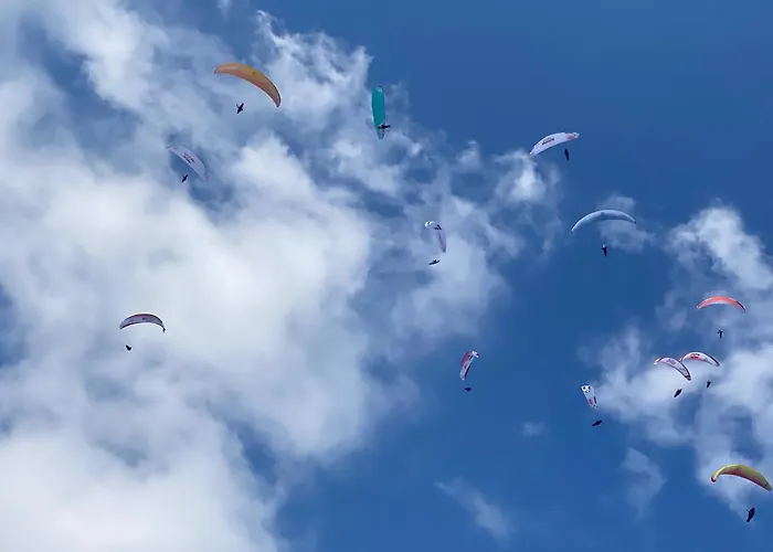 Alpines Nest By Managers * 蒂罗尔-基希贝格